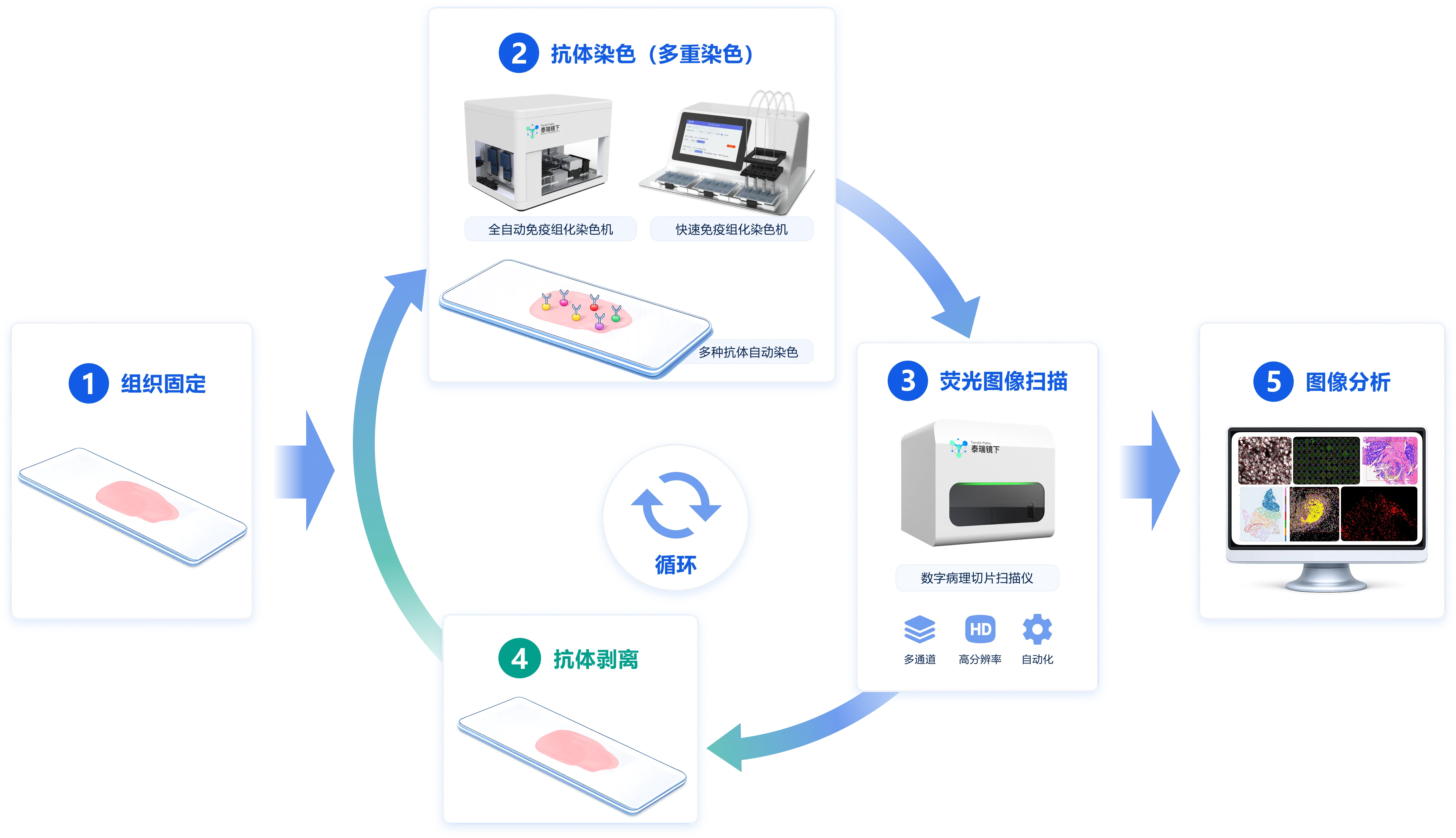 空间病理从实验设计、染色、扫描到图像分析和报告的全流程