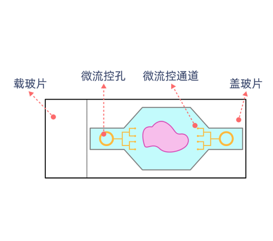 微流控模块