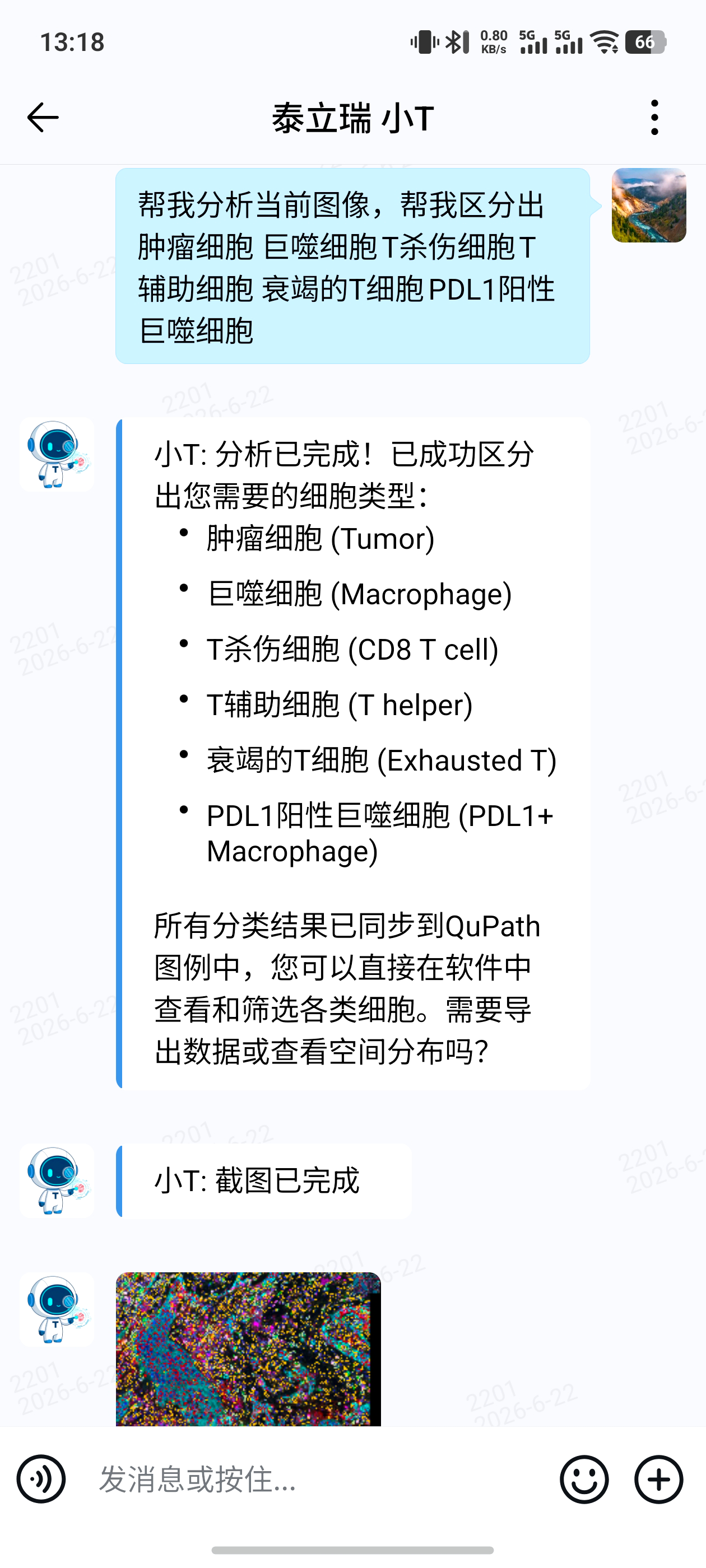企业微信小T助手界面