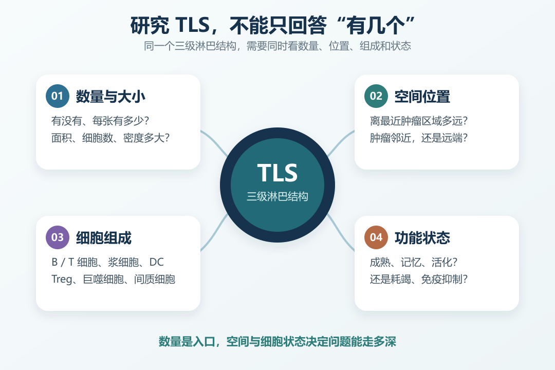 研究 TLS,为什么不能只看“有没有”和“有多少”?配图 1