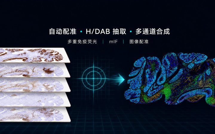 存量IHC,如何转成可分析的虚拟mIF?配图1